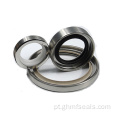 O-rings de vários tamanhos O-rings premium
